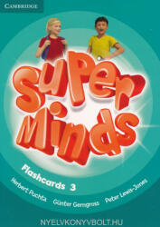 Herbert Puchta, Günter Gerngross, Peter Lewis-Jones: Super Minds 3 Flashcards (ISBN: 9781316631577)