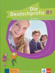 Die Deutschprofis B1 Übungsbuch (ISBN: 9783126764919)