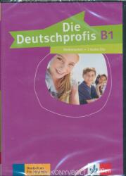 Die Deutschprofis B1 Medienpaket (ISBN: 9783126764940)