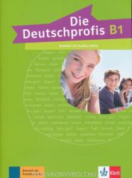 Die Deutschprofis - Ágnes Einhorn (ISBN: 9783126764995)