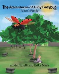 The Adventures of Lucy Ladybug: Felicia's Family (ISBN: 9781643490939)