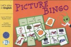 Let´s Play in English: Picture Bingo (ISBN: 9788853625793)