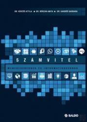 SZÁMVITEL MENEDZSEREKNEK ÉS INFORMATIKUSOKNAK (ISBN: 9789636385569)