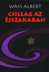 CSILLAG AZ ÉJSZAKÁBAN (2005)