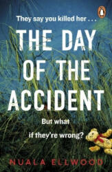 Day of the Accident - The compelling and emotional thriller with a twist you won't believe (ISBN: 9780241977347)