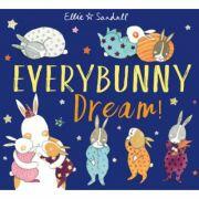 Everybunny Dream - Ellie Sandall (ISBN: 9781444933871)