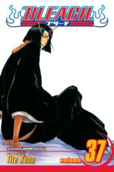Bleach, Vol. 37 (2011)
