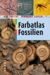 Farbatlas Fossilien - Max Urlichs, Bernhard Ziegler, Günter Bechly (2003)
