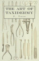 Art of Taxidermy - F. Tose (ISBN: 9781406787351)