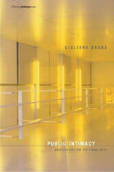 Public Intimacy: Architecture and the Visual Arts (2007)