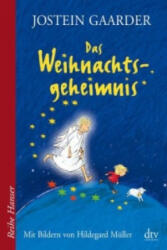Das Weihnachtsgeheimnis (ISBN: 9783423626156)
