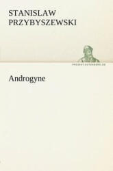 Androgyne - Stanislaw Przybyszewski (ISBN: 9783842411371)