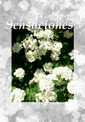 Sensaciones - Isabel Garcia Fernandez (ISBN: 9781471666407)