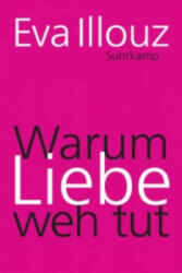 Warum Liebe weh tut - Eva Illouz, Michael Adrian (ISBN: 9783518467077)