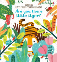 Are you there Little Tiger? (ISBN: 9781474936804)