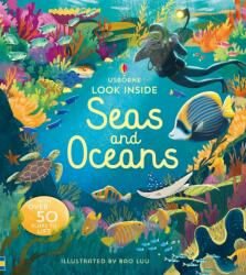 Look Inside Seas And Oceans (ISBN: 9781474947060)