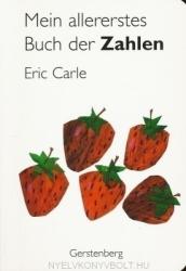 Prima mea carte despre numere (2008)