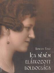 Ica néném elátkozott boldogsága (2006)