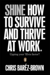 Shine - How To Survive And Thrive At Work (2011)