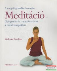 MEDITÁCIÓ - GYÓGYULÁS ÉS TRANSZFORMÁCIÓ A MINDENNAPOKBAN - (2009)