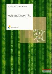 MÁTRIXSZÁMÍTÁS (2008)