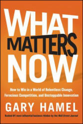 What Matters Now - Gary Hamel (2012)