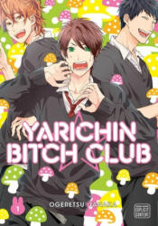 Yarichin Bitch Club, Vol. 1 - Ogeretsu Tanaka (ISBN: 9781974709281)