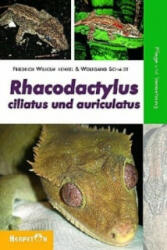 Rhacodactylus ciliatus und auriculatus - Friedrich-Wilhelm Henkel, Wolfgang Schmidt (2007)