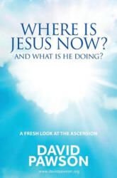 Where is Jesus Now? - David Pawson (ISBN: 9781911173786)