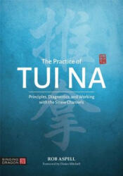 Practice of Tui Na - Robert Aspell (ISBN: 9781848194120)