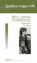 Múlt ifjúság tündértaván - Vajda János szerelmei (2009)