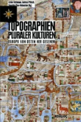 Topographien pluraler Kulturen - Andreas Pflitsch, Esther Kilchmann, Franziska Thun-Hohenstein (2012)