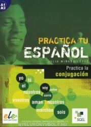 Practica tu espanol - Practica la conjugación - Julia Minano Lopez (2006)