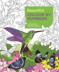 Beautiful Colour by Numbers (ISBN: 9781788887687)