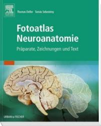 Fotoatlas Neuroanatomie - Thomas Deller, Tamas Sebesteny (ISBN: 9783437412158)