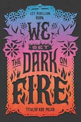 We Set the Dark on Fire (ISBN: 9780062691316)
