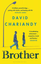 Brother - David Chariandy (ISBN: 9781408897287)