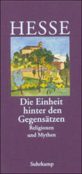 Die Einheit hinter den Gegensätzen (ISBN: 9783518035894)