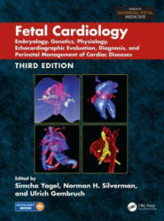 Fetal Cardiology - Simcha Yagel, Norman H. Silverman, Ulrich Gembruch (ISBN: 9781498771764)