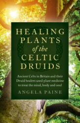 Healing Plants of the Celtic Druids - Ancient Celts in Britain and their Druid healers used plant medicine to treat the mind, body and soul - Angela Paine (ISBN: 9781785355547)