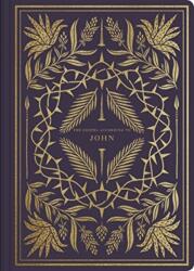 ESV Illuminated Scripture Journal (ISBN: 9781433564857)