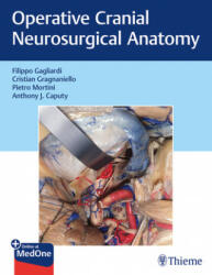 Operative Cranial Neurosurgical Anatomy - Filippo Gagliardi, Cristian Gragnaniello, Anthony J. Caputy, Pietro Mortini (ISBN: 9781626232167)