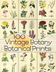 100 Vintage Botany Botanical Prints (ISBN: 9781723879944)