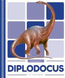 Diplodocus (ISBN: 9781532161803)