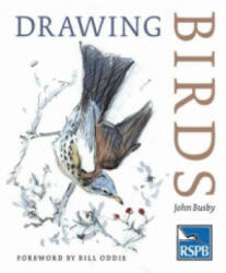 Drawing Birds - John Busby (2004)