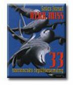 Near miss - 33 szerencsés repülőesemény - (2007)