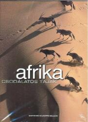Afrika - Csodálatos tájak (2008)