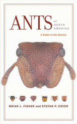 Ants of North America - Brian L. Fisher, Stefan P. Cover (ISBN: 9780520254220)