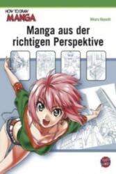 Manga aus der richtigen Perspektive - Hikaru Hayashi, Cordelia von Teichman (2011)