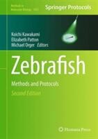 Zebrafish - Koichi Kawakami, Michael Orger, E. Elizabeth Pattons (ISBN: 9781493937691)